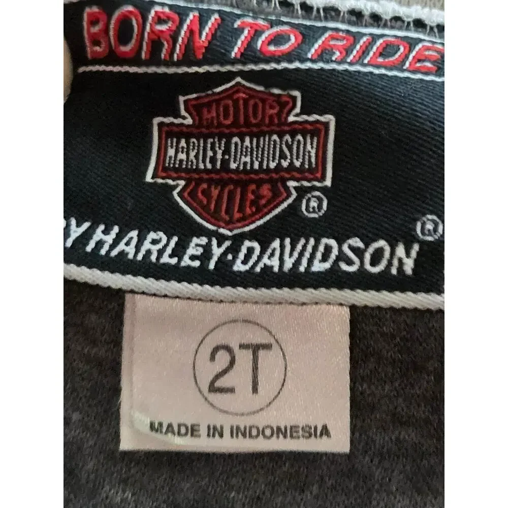 Vintage Y2K Harley Davidson Infant Boy 2 Piece Set Sweatsuit Size 2T